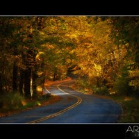 Портфолио John Harris